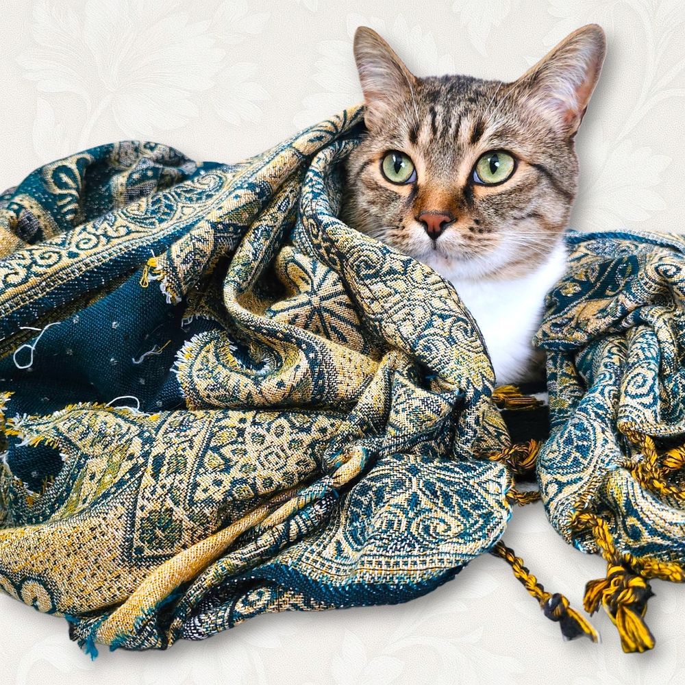 Festival Pashmina Scarf Wrap Gold Blue Rhinestone Boho Fairycore Whimsygoth